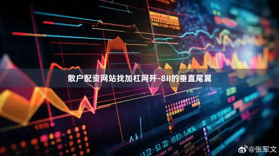 散户配资网站找加杠网歼-8II的垂直尾翼